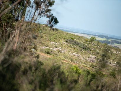 20241030_SCH_356783