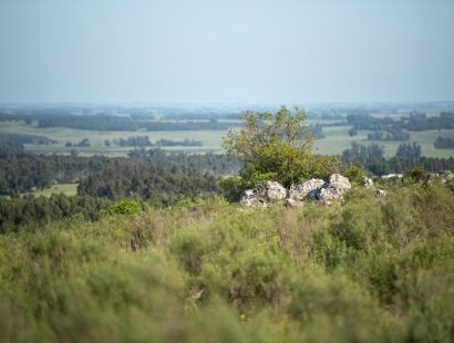 20241030_SCH_356796