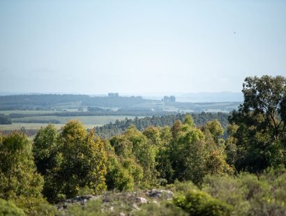 20241030_SCH_356799