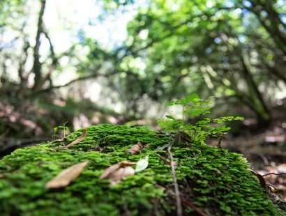 20241030_SCH_356901