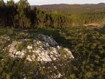 DJI_0039