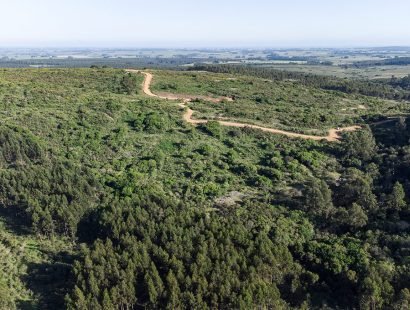 DJI_0107